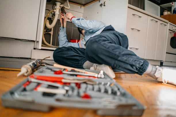 Best Plumbing Inspection Services  in Mendon, UT